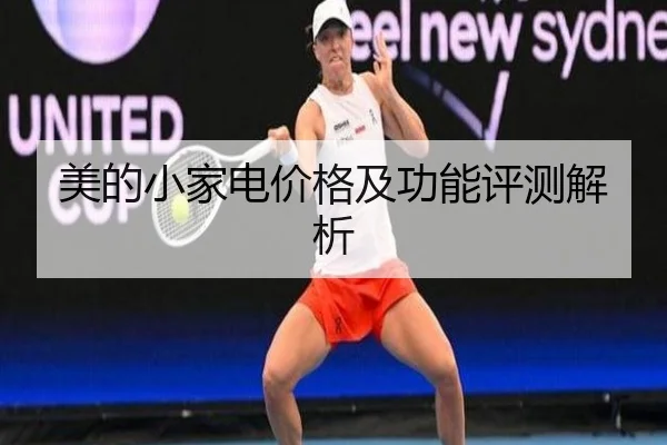 美的小家电价格及功能评测解析
